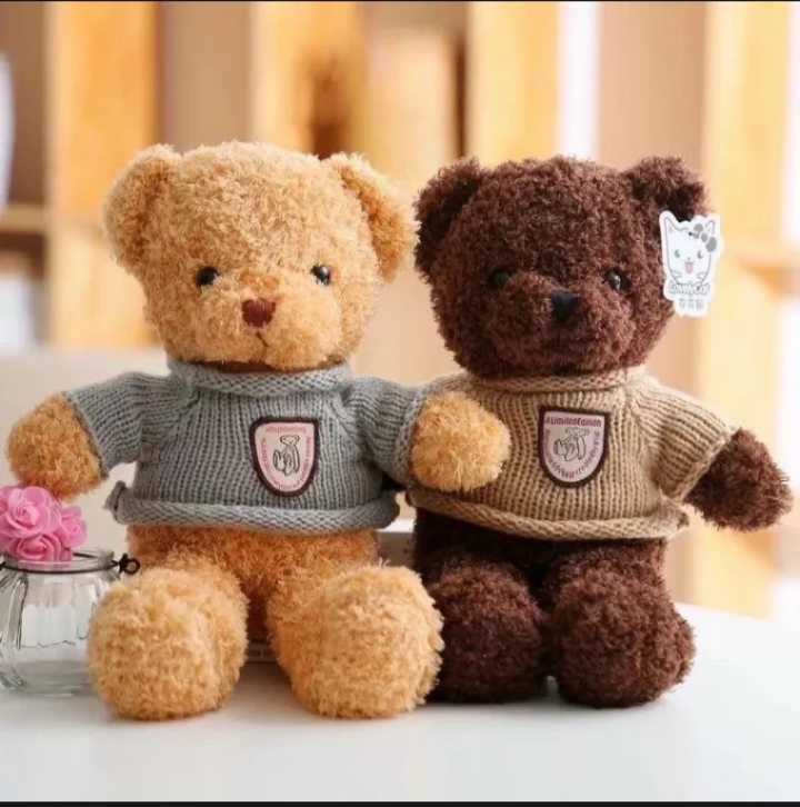 Teddy lông chỉ hàng nhập 