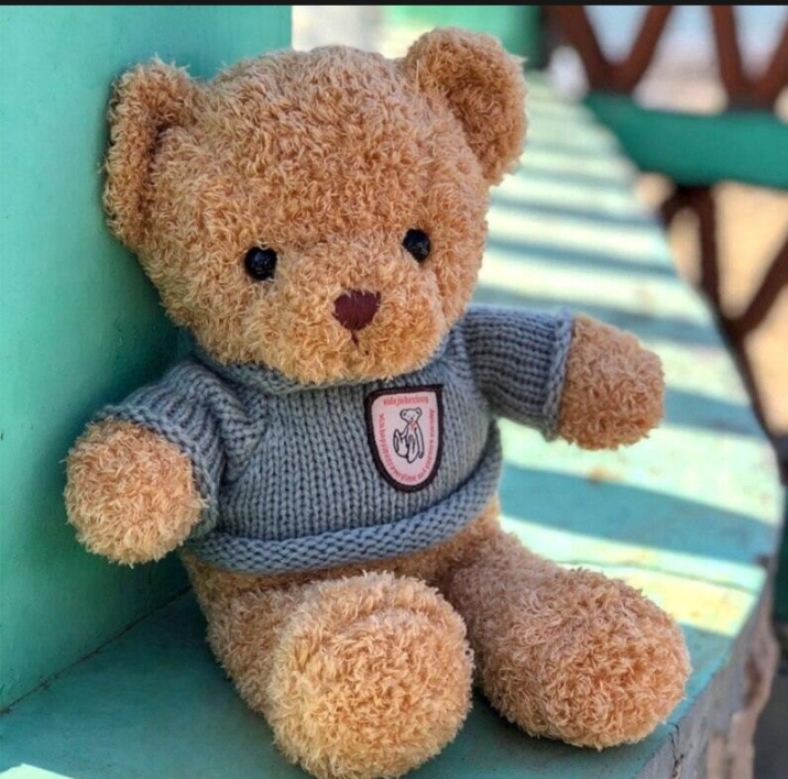 Teddy lông chỉ hàng nhập 