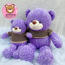 Teddy  Tím Hàng Việt