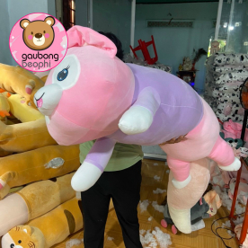 THÚ BÔNG HỒ LY CAO CẤP