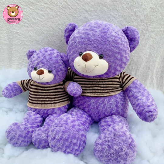 Teddy  Tím Hàng Việt